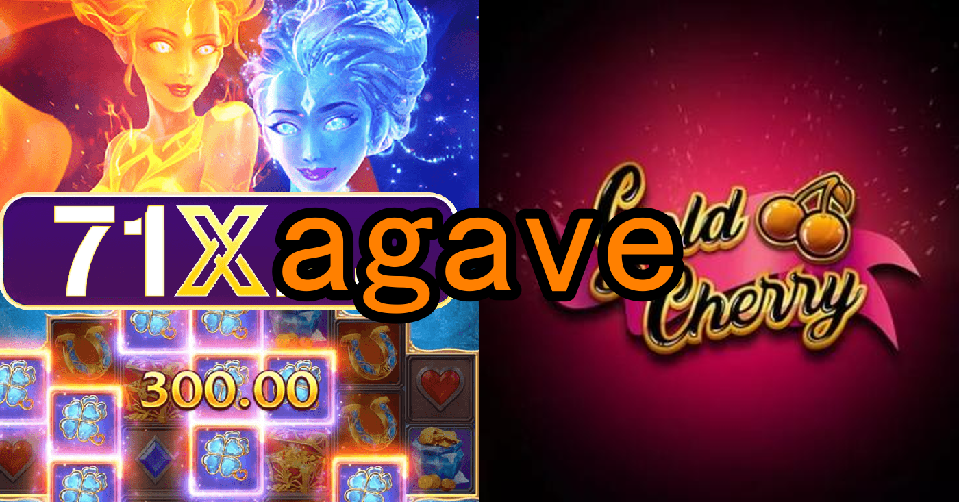 Como Escrever um Artigo de 5 Parágrafos sobre Evoplay Games